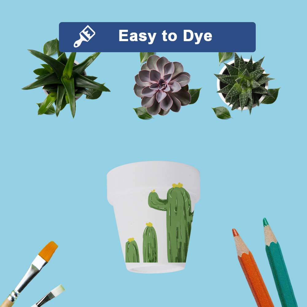 vensovo 24pcs White Terra Cotta Pot - 2.5 Inch Tiny Mini Clay Pots with Drainage Holes Flower Nursery Terra Cotta Pots for Indoor/Outdoor Succulent Plants, Crafts, Wedding Favor