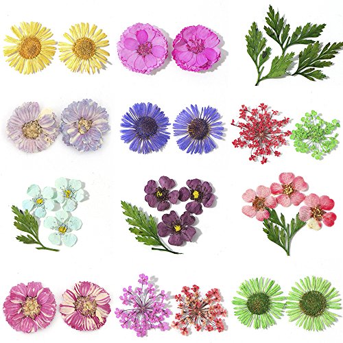 2Box 3D Nail Art Dried Flower Mixed Preserved Daisy Babysbreath Natural Sticker DIY Manicure Nail Art Decorations - Thumbnail 5