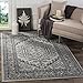 SAFAVIEH Adirondack Collection Area Rug - 9' x 12', Silver & Black, Oriental Medallion Design, Non-Shedding & Easy Care, Ideal for High Traffic Areas in Living Room, Bedroom (ADR108A)