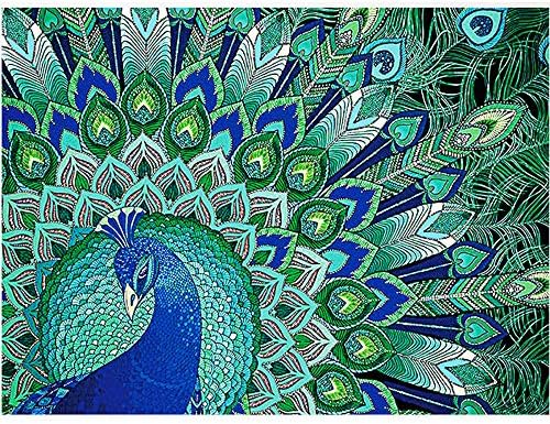 POPLY 5d diamond painting,Special Shaped Diamond Painting DIY 5D Partial Drill Cross Stitch Kits Crystal R with 5d diamond painting kits cross stitch kits