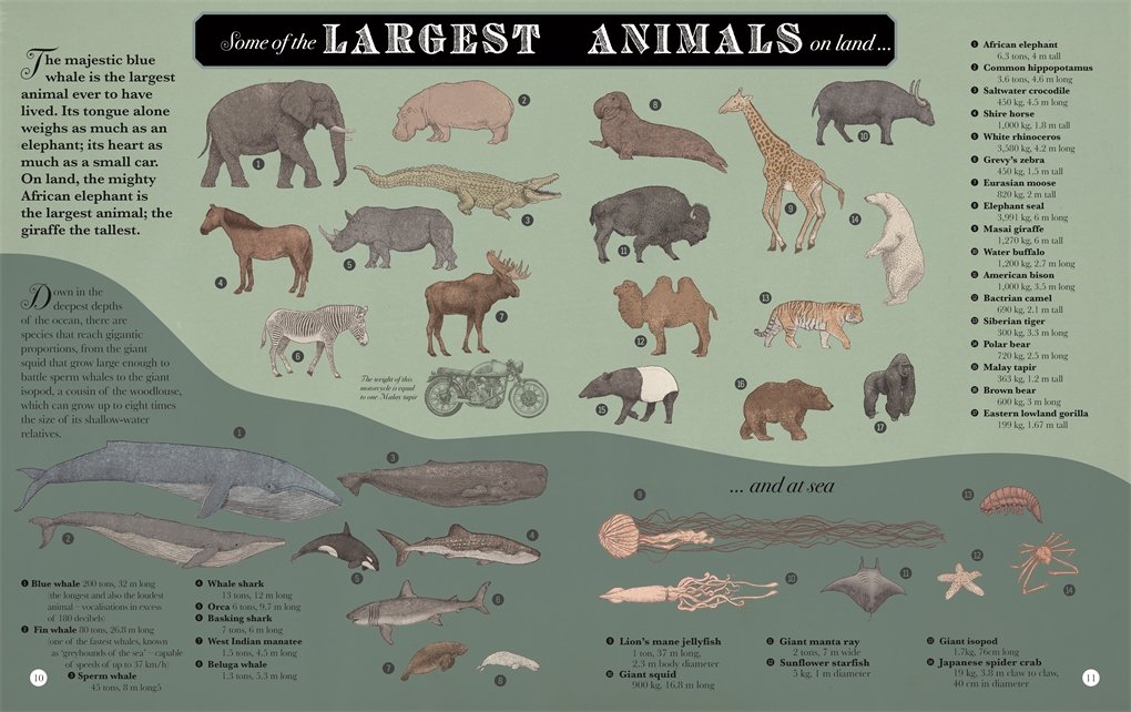 Highest Mountain Deepest Ocean Baker Kate Baker Kate Amazon Es Libros