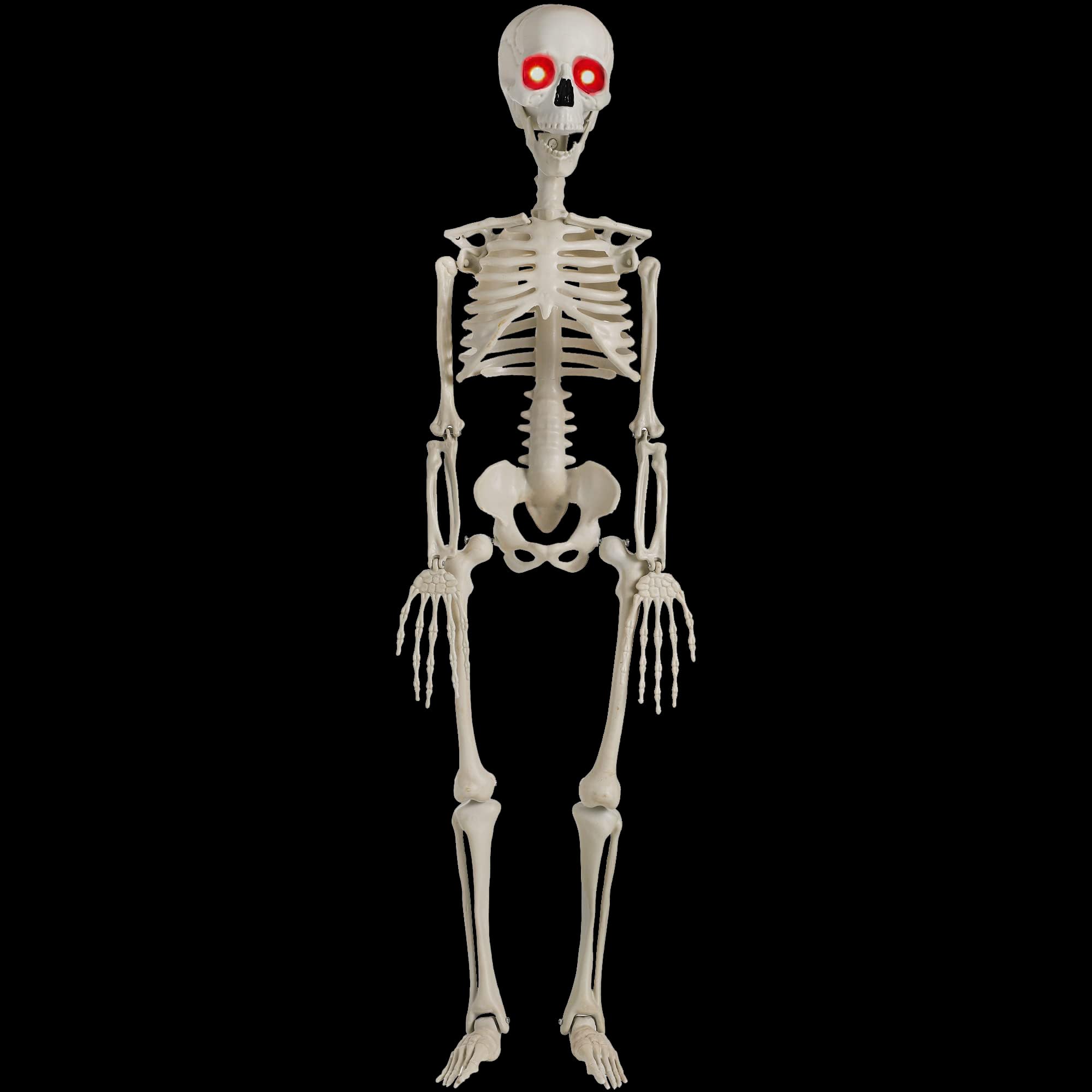Photo 1 of JOYIN 36” Halloween Skeleton Decorations with Red LED Light Eyes, Plastic Bones with Movable