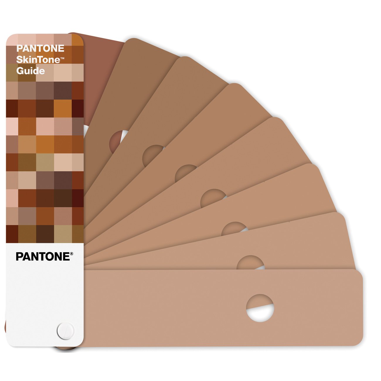 Pantone Skintone Guide