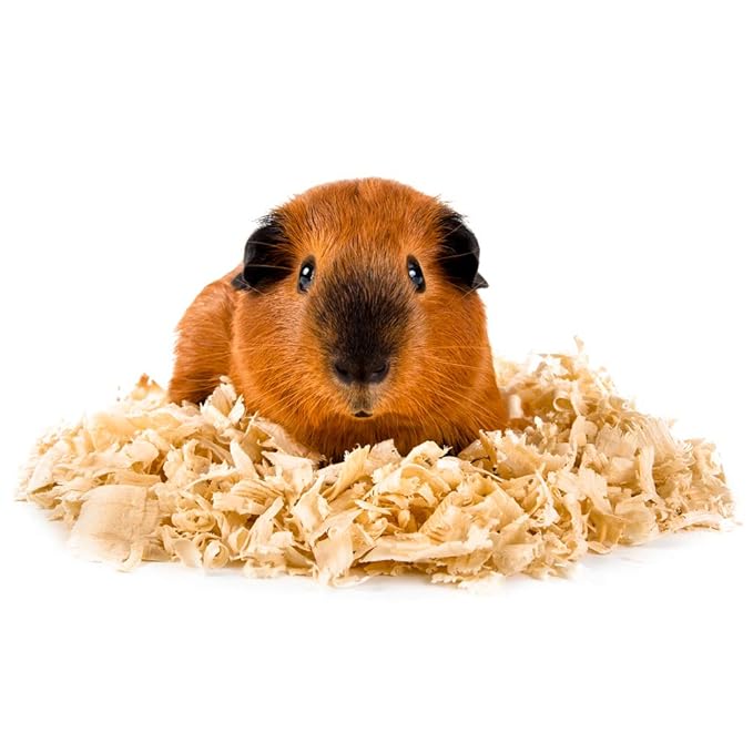 megazorb hamster bedding