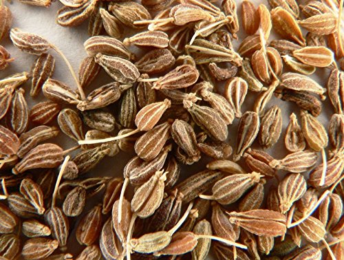 Herb Seeds - Anise - Aniseed - Heirloom - Liliana's Garden