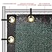 The Patio Shop Privacy Fence Screen 6' x 50' Commercial Outdoor Shade Windscreen Mesh Fabric with brass Gromment 150 GSM 88% Blockage in color Green-2 Years Warranty