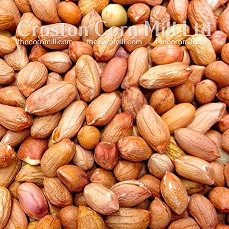 12 55kg Bird Peanuts Amazon Co Uk Garden Outdoors