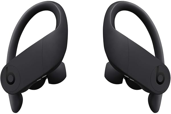 Beats Powerbeats Pro Wireless Earbuds - Apple H1 Headphone Chip, Class 1 Bluetooth Headphones, 9 Hours of Listening Time, Sweat Resistant, Built-in Microphone - Black