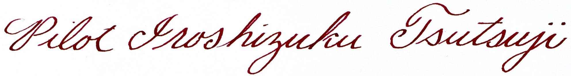 Mua PILOT Iroshizuku Bottled Fountain Pen Ink, Tsutsuji, Azalea (Dark ...