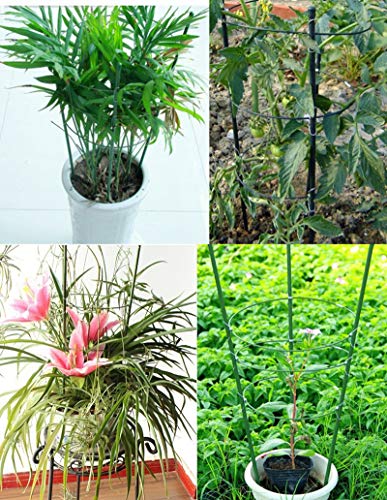 DoubleWood Plant Support Cages 18" Plant Cages Vine Trellis Support Flowers Plants Cage Triple Plastic Pillar Vine Plants Holder Stand Small Pot Tomato Trellis for Home Garden Balcony (Pack of 2)