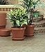 Bloem TR2460 Terra Pot Planter, 24