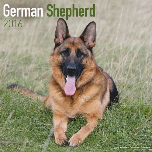German Shepherd Calendar - Only Dog Breed German Shepherd Calendar - 2016 Wall calendars - Dog Calendars - Monthly Wall Calendar by Avonside