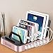 Okra 7-Port Hub USB Desktop Universal Charging Station Multi Device Dock for iPhone, iPad, Samsung Galaxy, LG, Tablet PC and all Smartphones and Tablets (Rose Gold)