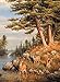 Buffalo Games - Hautman Brothers - Deer and Pines - 1000 Piece Jigsaw Puzzle