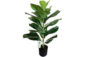 BESAMENATURE 30" Little Artificial Fiddle Leaf Fig Tree/Faux Ficus Lyrata for Home Office Decoration