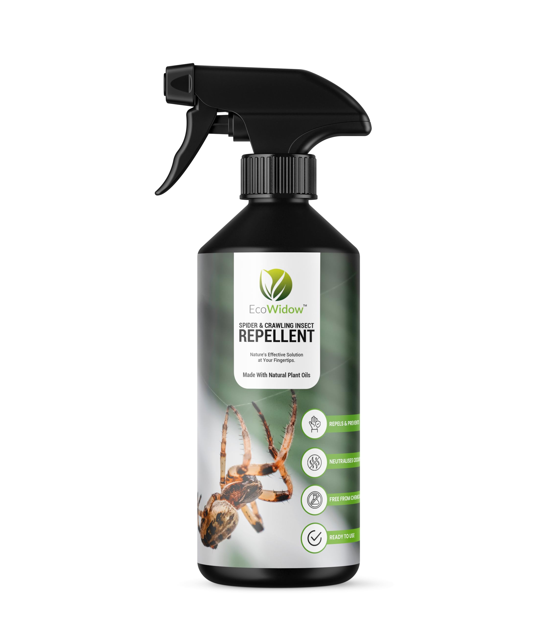 EcoWidow Spider Repellent Spray - Natural Peppermint Oil Insect & Cobweb Remover for Home, Humane Formula, 500ml