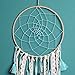 Dream Catcher Handmade Traditional Tassel Dream Catcher Wall Hanging Home Decoration (Tassel Bohemia)
