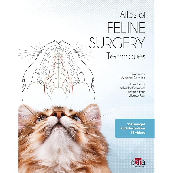 Veterinary Image-Guided Interventions: 9781118378281: Medicine