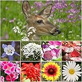 Bulk Package of 30,000 Seeds, Deer Resistant Wildflower Mixture (100% Pure Live Seed) Non-GMO Seeds by Seed Needs ...