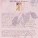 Natural Sitz Bath Soak For Postpartum Care, Hemorrhoid Relief; Soothing, Organic Herbal Epsom Salt Reduces Discomfort in Perineum; After Birth Essentials; Large 32oz by Onesta Company