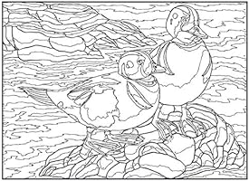 Creative Haven Birds Color By Number Coloring Book By Toufexis