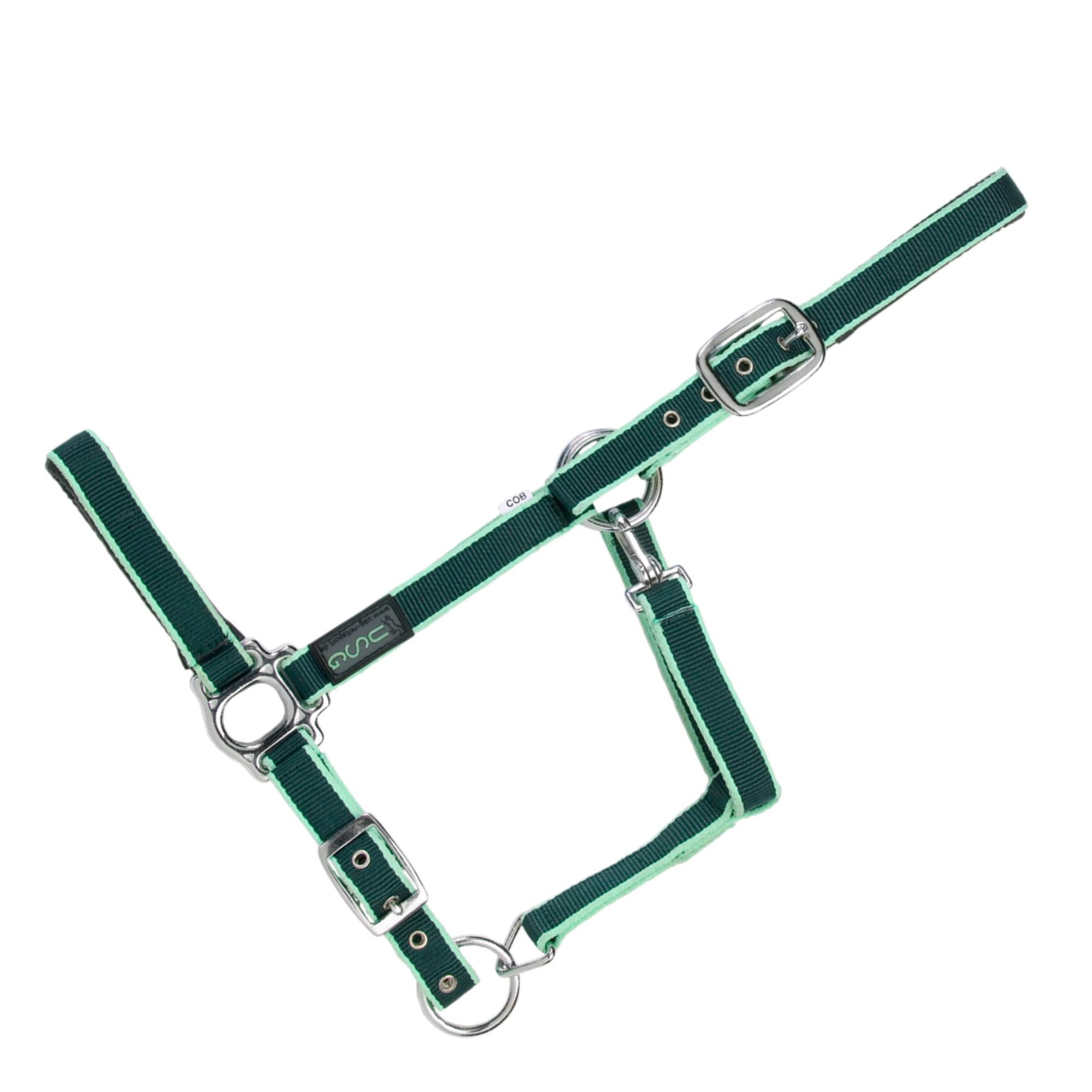 USG Halter with Silver Fittings/ Soft Padded, Cob, Dark Green/ Light Green