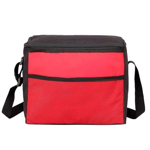 CTOBB - Bolsa isotérmica para Picnic, refrigerador, Fiambrera ...