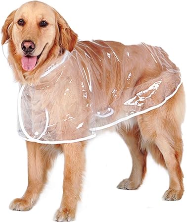 science diet skin allergies