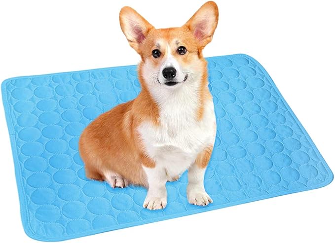 gel dog mat
