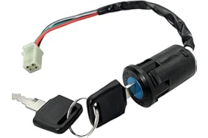 SKARUMMER Ignition Switch with Keys 4 Wire for TaoTao Buyang Coolsport Kazuma Sunl Coolster 50cc 70cc 90cc 110cc 125cc 150cc 200cc 250cc Quad Super Pocket Dirt Bike ATV & Scooters