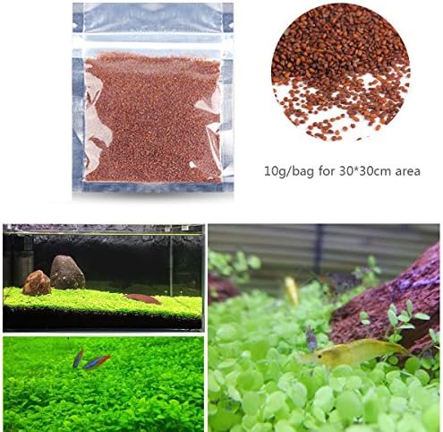 Fish Tank Decor Water Plant Seeds Small Leaf for Landscaping Beginner, Easy and Fast Growing, Use for Fishbowl, Aquarium, Garden Decoration, 10g/bag for 30x30cm Area (1 bag)