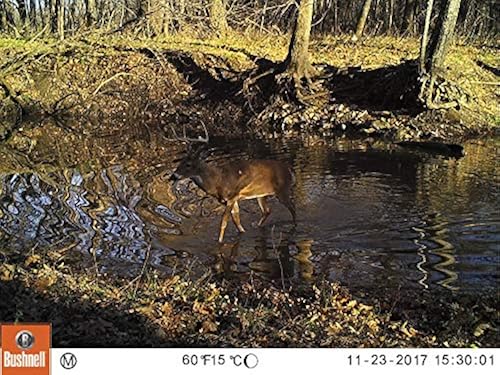 Bushnell 119875C 24MP Trophy Cam HD Low Glow Trail Camera with