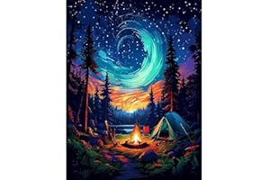 CDJLDDWW Aurora Paint by Numbers Kit for Adults Beginner, Acrylic Oil Painting by Number Kits for Adults Canvas without Frame,DIY Abstract Aurora Landscape Paint by Number Kits for Home Wall Decor 16x20 inch