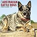 Just Australian Cattle Dogs 2018 Calendar