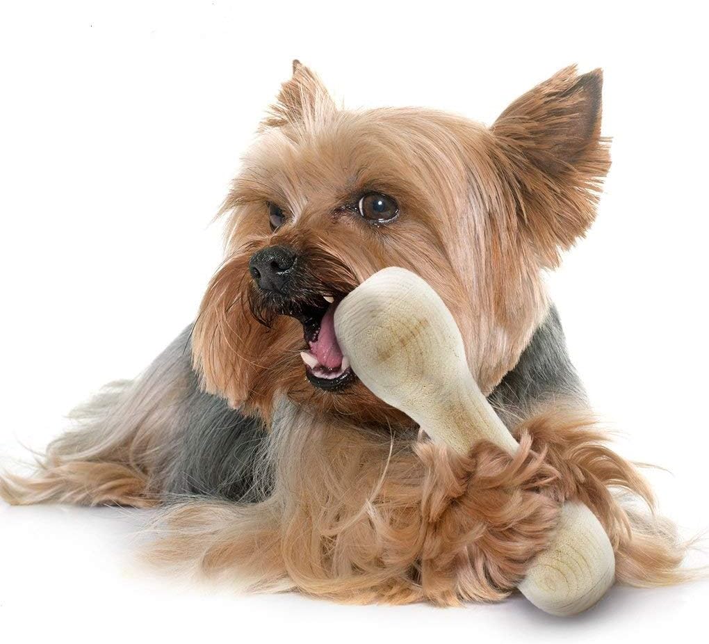 Meric Dog Bone for Small Dogs, Wooden Bone Chew Toy for Puppies, Solid Wood Chew Treat, Dental Bone & Dog Training Tool, Keeps Teeth and Gums Healthy, for Puppies’ Oral Care