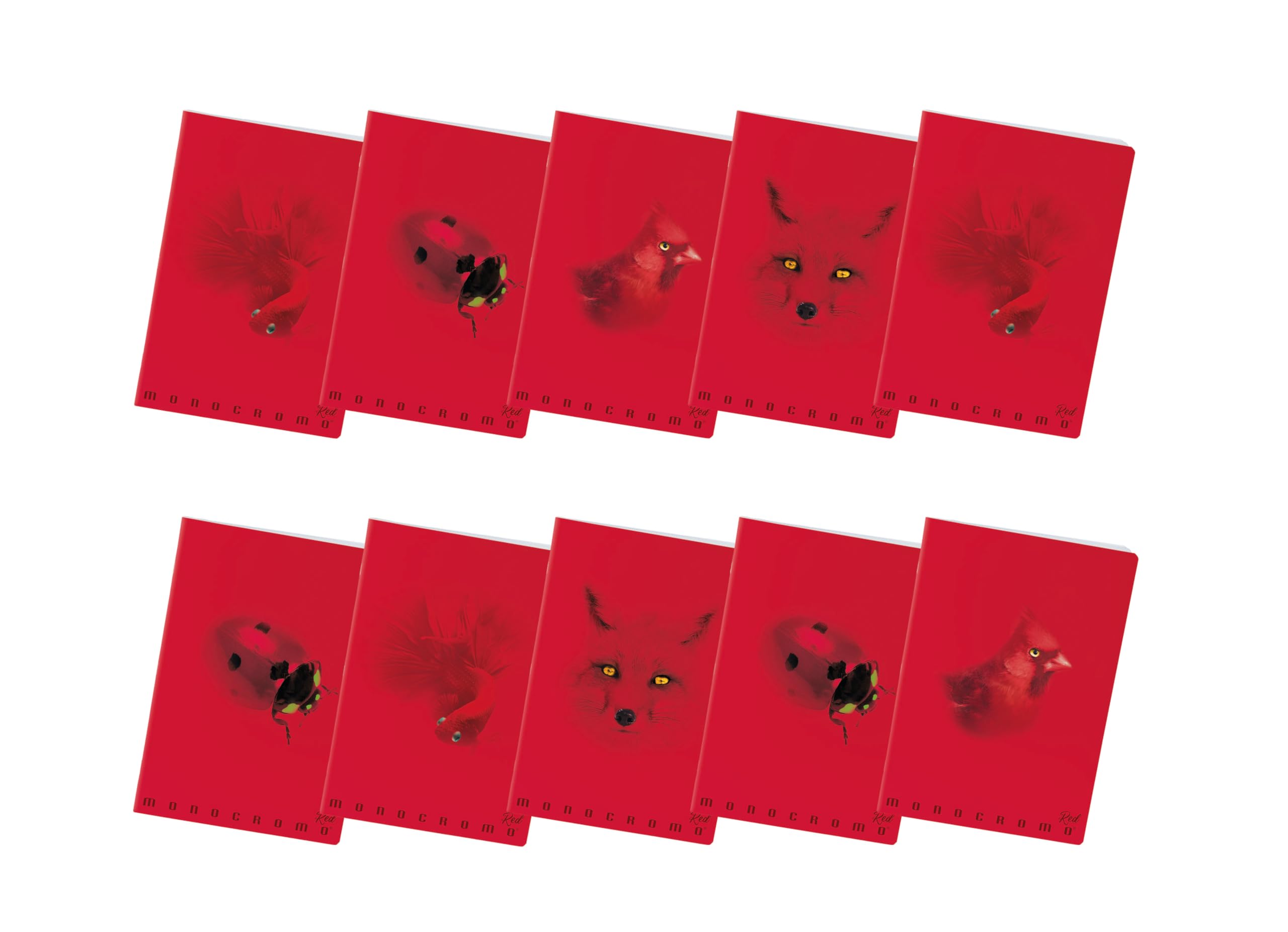 Pigna, Maxi Notebook Monochrome Red, A4, Inner Paper 100 g/m², 72 pages, Cardboard Cover with glossy/matt treatments, 5 m inside, 5 mm squares, Assorted Subjects, Pack of 10