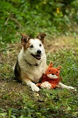 Petface Saffia Squirrel Crinkle Dog Toy Pack of 1 view 2