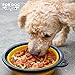 for Dog Premium Collapsible BPA Free Travel Dog Bowl with Carabiner, Set of 3