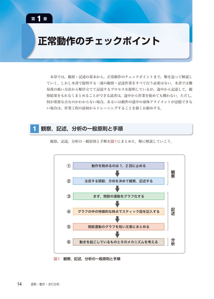 姿勢 動作 歩行分析 Pt Otビジュアルテキスト 臨床歩行分析研究会 畠中 泰彦 本 通販 Amazon