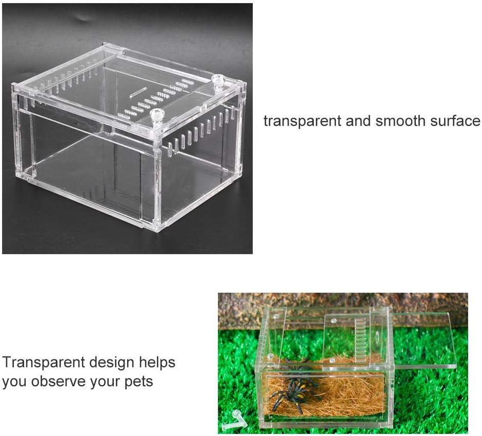 Acrylic Transparent Reptile Breeding Box for Breeding and Feeding - Image 4