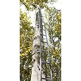 Guide Gear 20' Tree Ladder (Misc.)