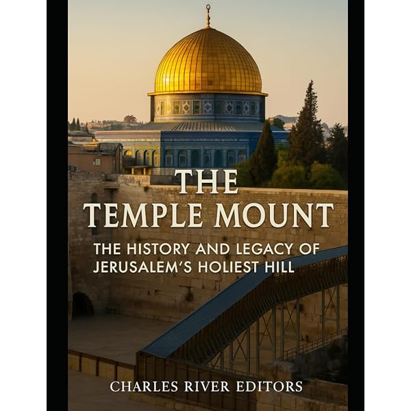 Jerusalem's Temple Mount: From Solomon to the Golden Dome: Shanks