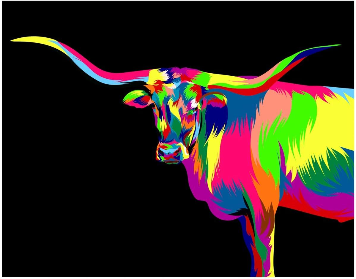 Photographs - Texas Longhorn Colorful Design Fine Art Print Decor - 11x14 Unframed Decorative Wall Art Photo Gift - Present for Texas Lovers - Unique Dorm, Apartment, Bedroom Decor - Accessories Under $15