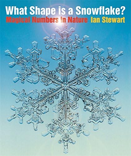 What Shape Is a Snowflake?
