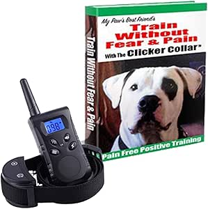 custom music stuffed animal