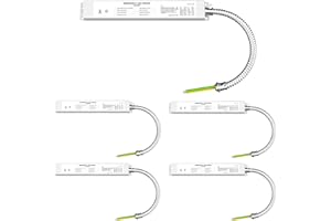 LED FLYING DIRECT LED Emergency Backup Driver 20W, 100-347V AC 175V DC Over 90 Mins Emergency Time, 0/1-10V Dimmable Emergency LED Driver, Rechargeable UL Listed Backup Battery for LED Recess, Panel and Linear Lights