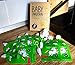 Reusable Food Pouches with Double Zipper, 8 Pack, 5oz, Extra: 2 Brushes & 2 Spare Caps