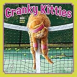 Avanti Cranky Kitties 2020 7 x 7 Inch Monthly Mini Wall Calendar, Angry Cat Feline by 