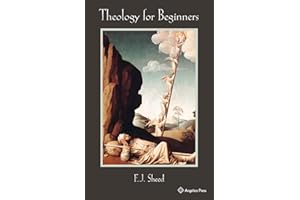 Theology for Beginners