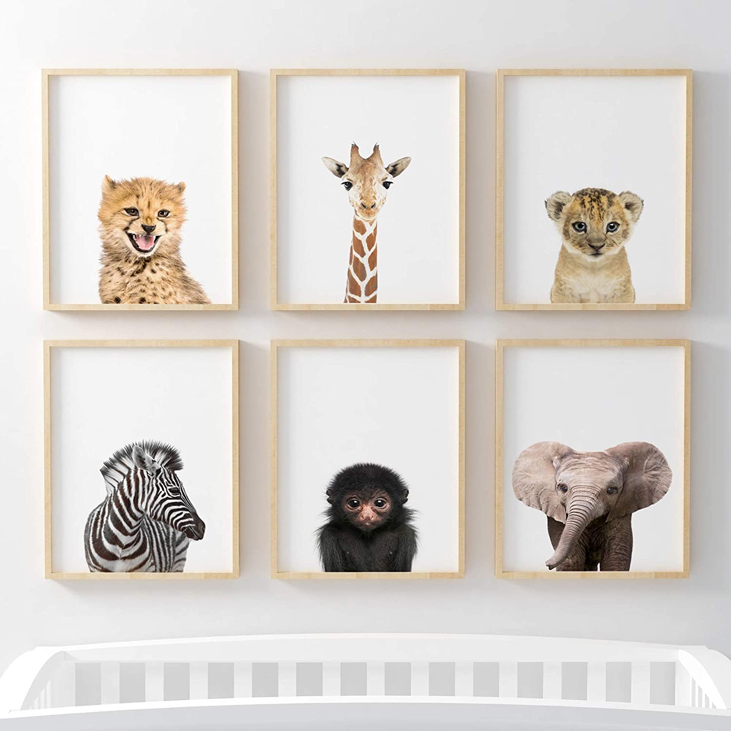Jungle Safari Baby Animal Nursery Bedroom Wall Art Picture Prints, Set of 6 - Elephant, Lion, Monkey, Giraffe, Cheetah, Zebra. Pompom® [Picture Frames NOT Included] (A3, Original)